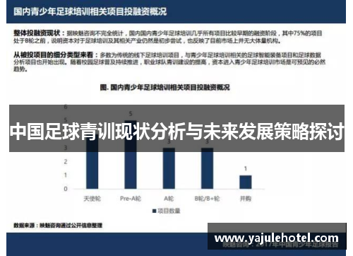 中国足球青训现状分析与未来发展策略探讨